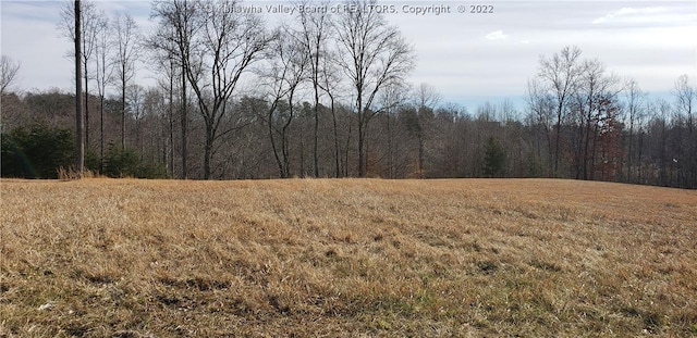 Listing photo 3 for 12 Bridle Pt, Milton WV 25541