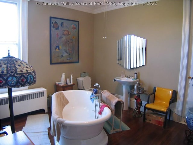 interior space featuring sink, hardwood / wood-style floors, radiator, and crown molding