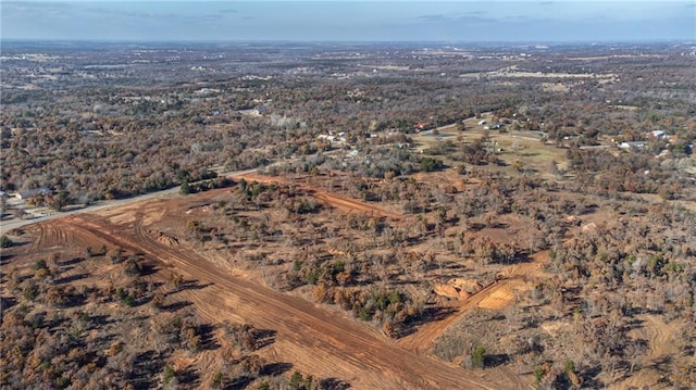 3125 Road Runner Ct, Guthrie, OK 73044 - photo 2