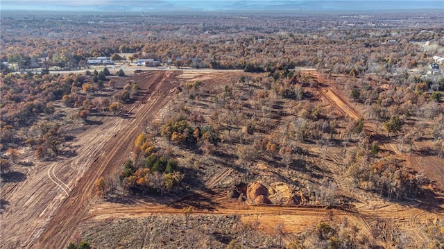 3125 Road Runner Ct, Guthrie, OK 73044 - photo 3