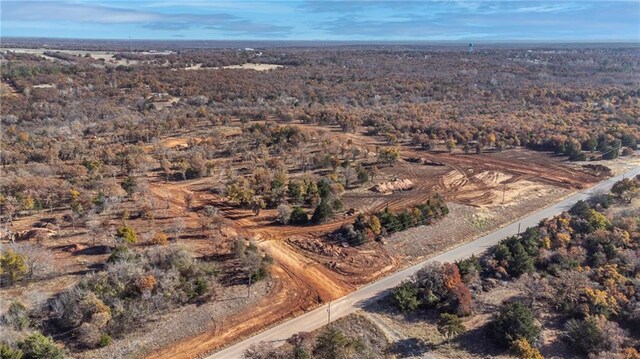 3125 Road Runner Ct, Guthrie, OK 73044 - photo 5