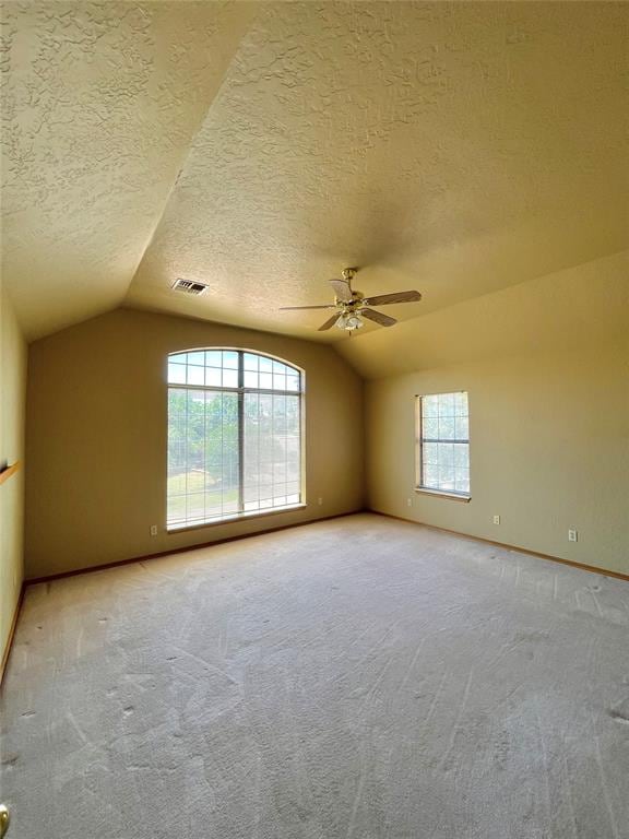 spare room with vaulted ceiling, carpet, a healthy amount of sunlight, and a textured ceiling