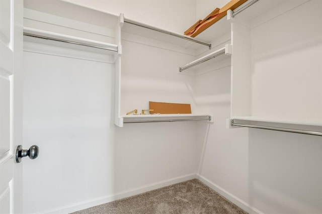 spacious closet featuring carpet floors