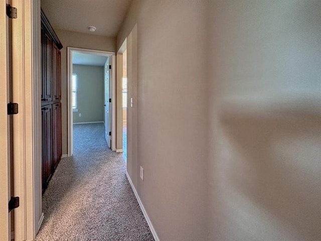 corridor featuring carpet floors