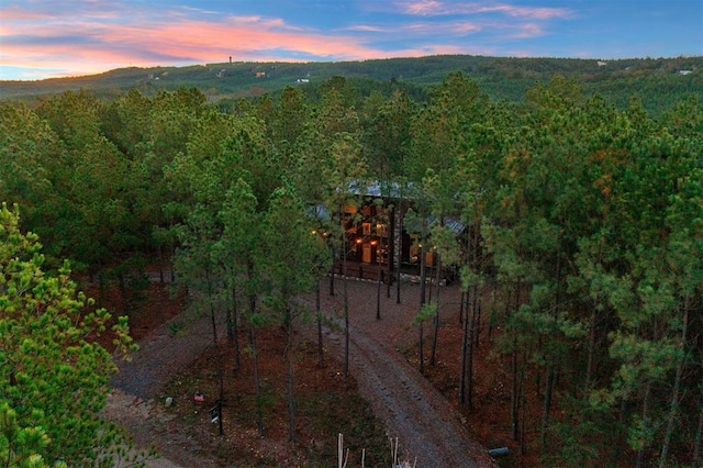 453 Bear Pine Trl, Broken Bow, OK 74728 - mountain view with a forest