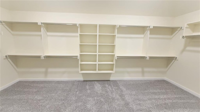 spacious closet with carpet