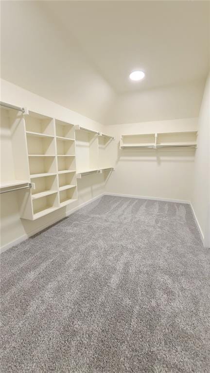 walk in closet with carpet flooring