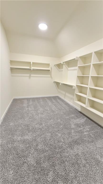 spacious closet with carpet floors