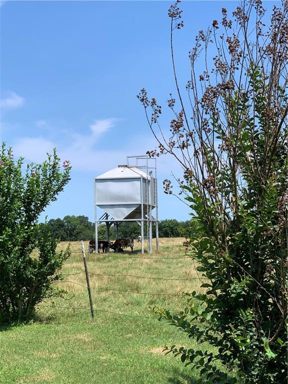 view of yard featuring a rural view