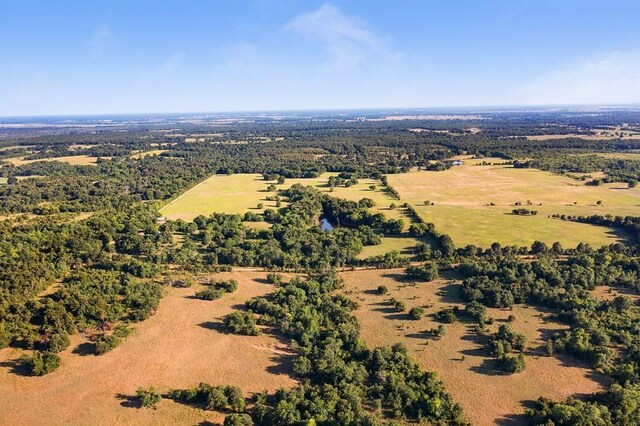 drone / aerial view featuring a rural view