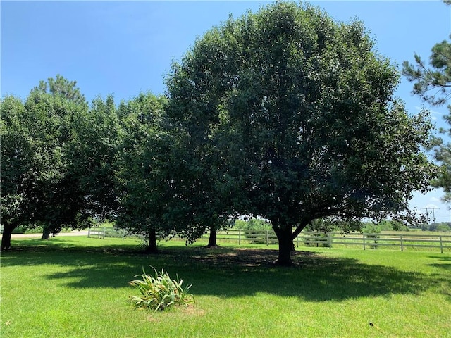 view of yard with a rural view