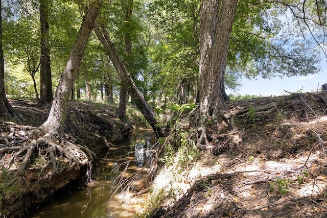 view of landscape