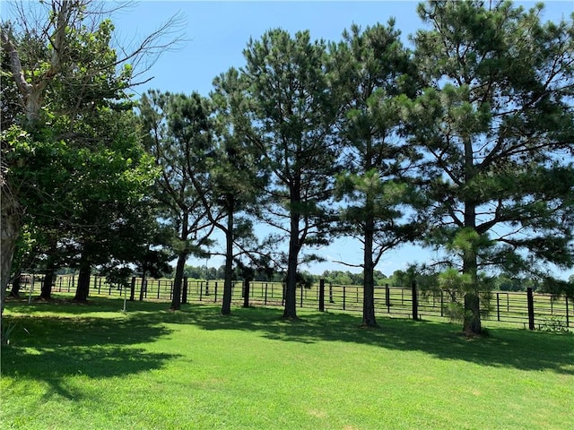 view of yard with a rural view