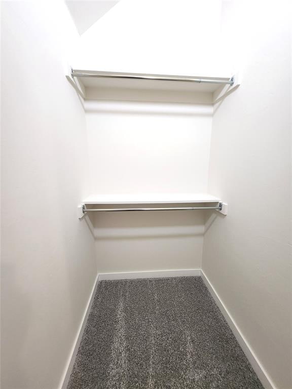 walk in closet with carpet floors