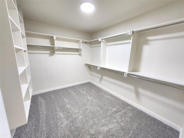 spacious closet featuring carpet flooring