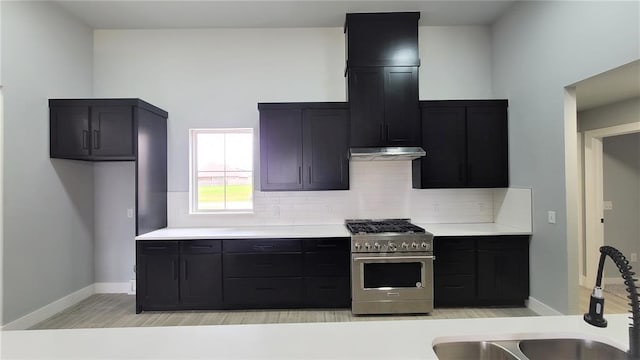 kitchen featuring decorative backsplash, sink, light hardwood / wood-style floors, and high end stainless steel range oven