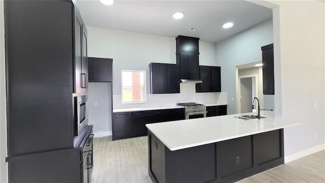 kitchen with stainless steel appliances, light hardwood / wood-style floors, and sink