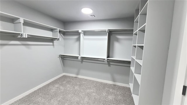 spacious closet featuring carpet