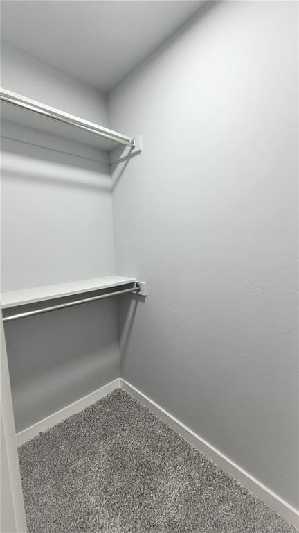 spacious closet with carpet floors