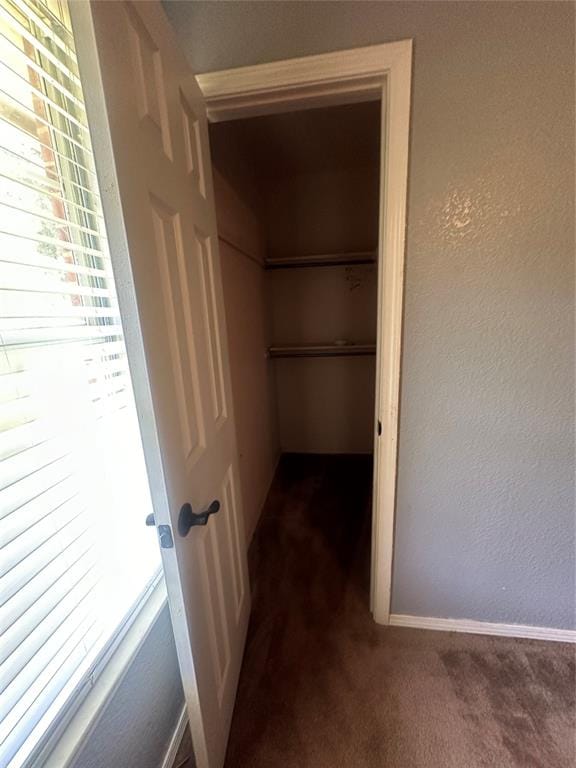 spacious closet with dark carpet