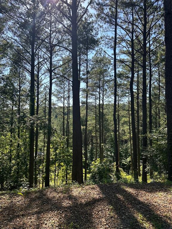 143 Gnarly Maple Trl, Broken Bow, OK 74728 - photo 22