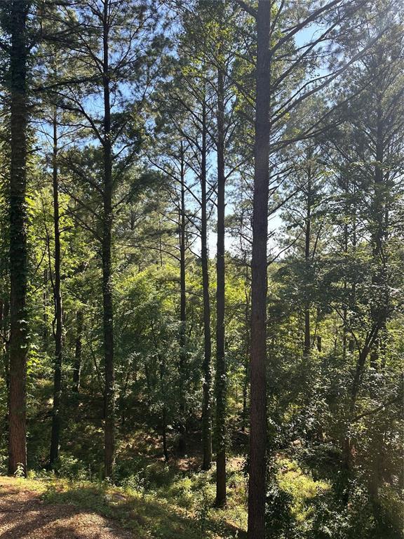 143 Gnarly Maple Trl, Broken Bow, OK 74728 - photo 23