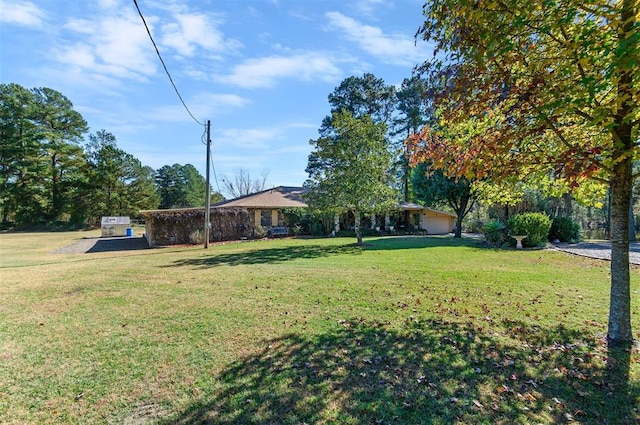 view of yard