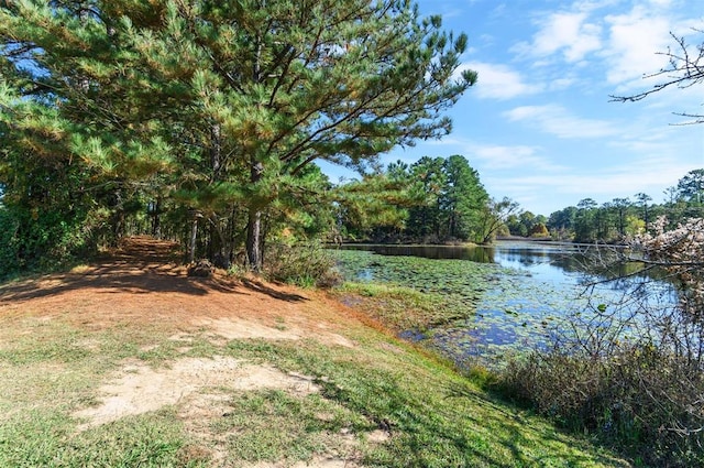 view of water feature