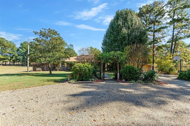 view of front facade featuring a front yard