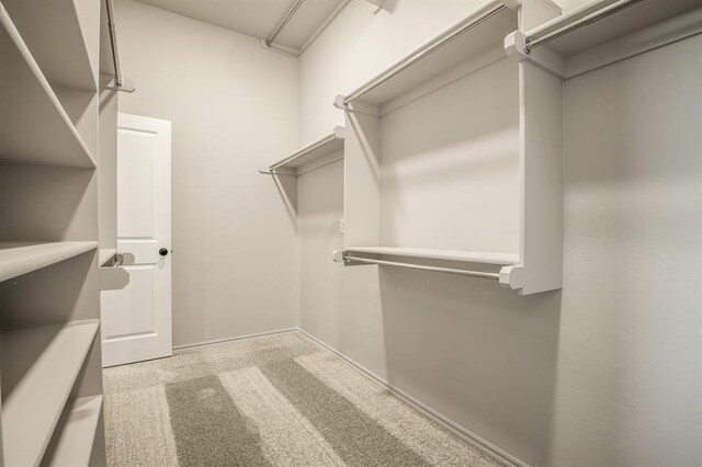 spacious closet featuring light colored carpet