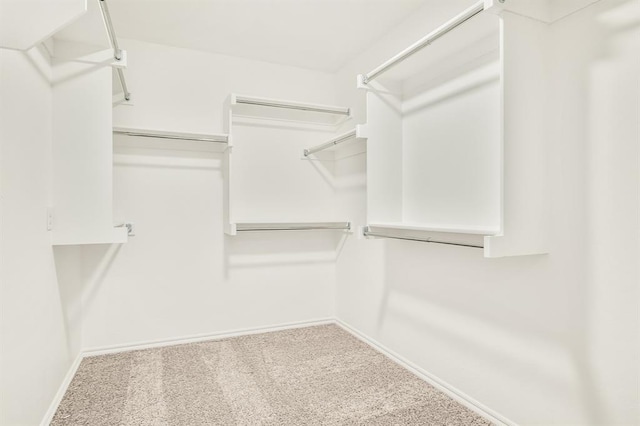 spacious closet featuring carpet flooring