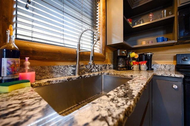 details featuring sink and black appliances