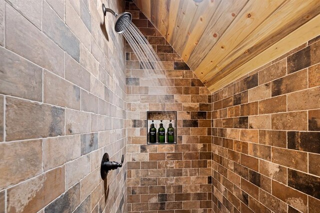 interior details with tiled shower