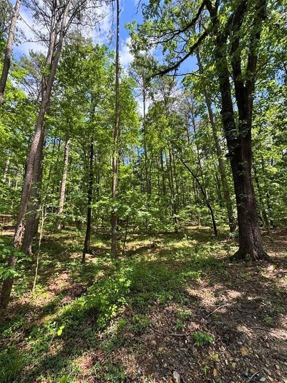 146 Moray Dr, Broken Bow, OK 74728 - photo 37