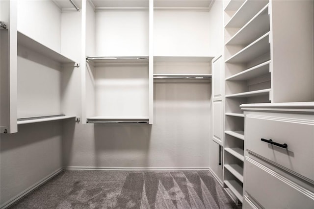 spacious closet featuring dark colored carpet