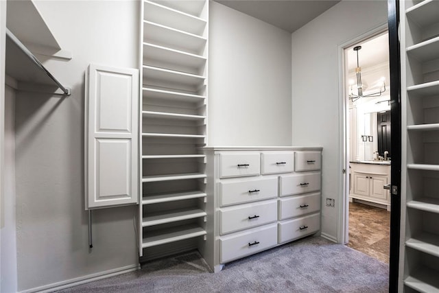 5900 N Choctaw Rd, Choctaw, OK 73020 - walk in closet featuring carpet flooring and a sink