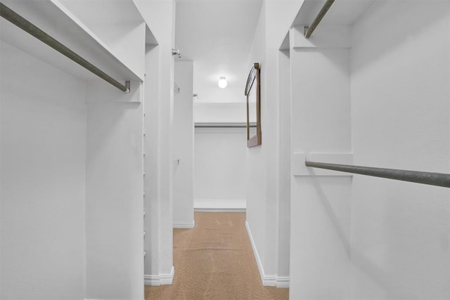 walk in closet featuring light colored carpet