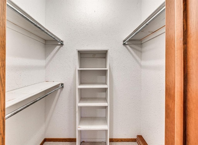 spacious closet with carpet