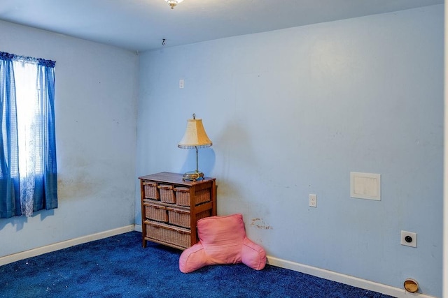 sitting room with dark carpet