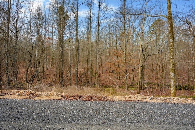 57 Woodland Hls Unit 3, Broken Bow, OK 74728 - photo 11