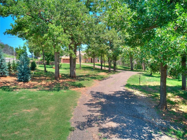 view of home's community featuring a yard