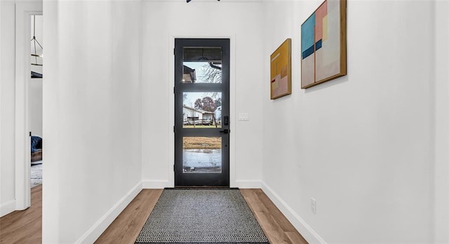 entryway featuring wood-type flooring