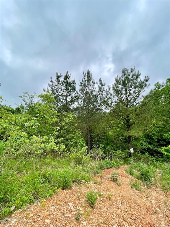 Listing photo 2 for 656 Timber Creek Trl, South Xi, Broken Bow OK 74728