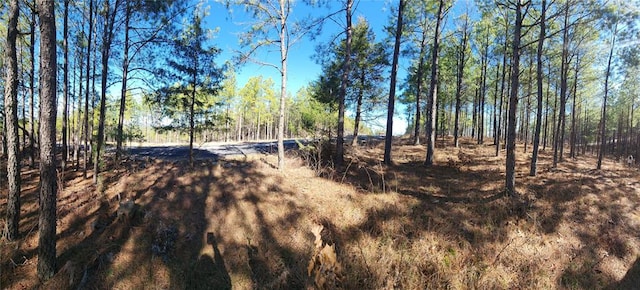 Timberline Trl, Broken Bow OK, 74728 land for sale