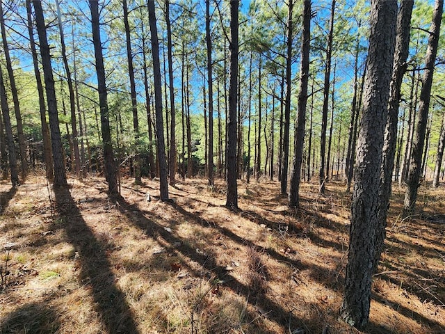 Listing photo 3 for Timberline Trl, Broken Bow OK 74728