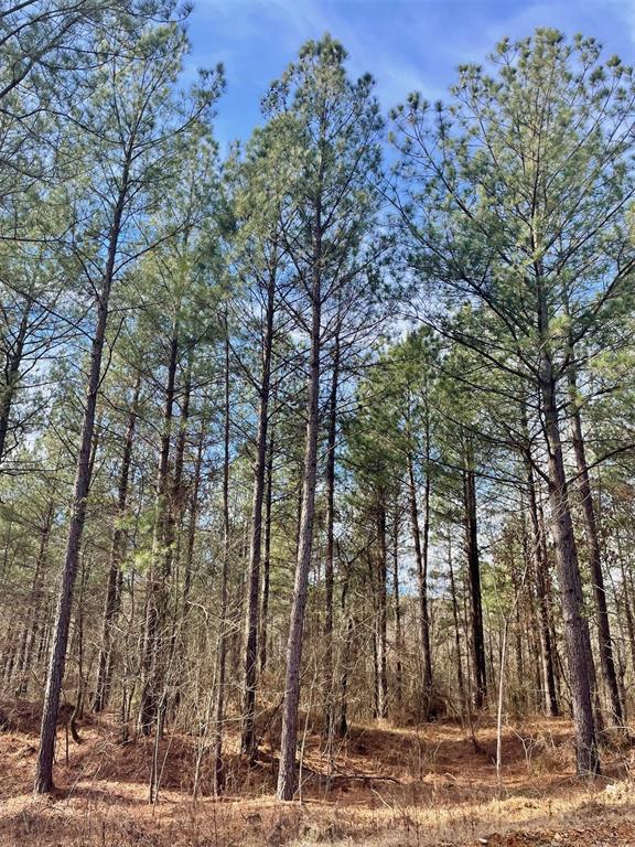 742 Timber Creek Trl, South Xi, Broken Bow OK, 74728 land for sale