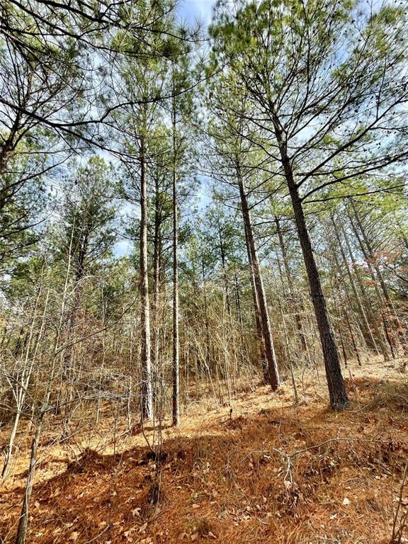 743 Timber Creek Trl, South Xi, Broken Bow OK, 74728 land for sale