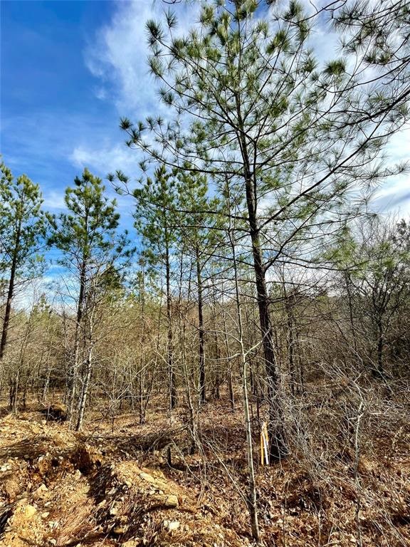 760 Timber Creek Trl, South Xi, Broken Bow, OK 74728 - photo 1