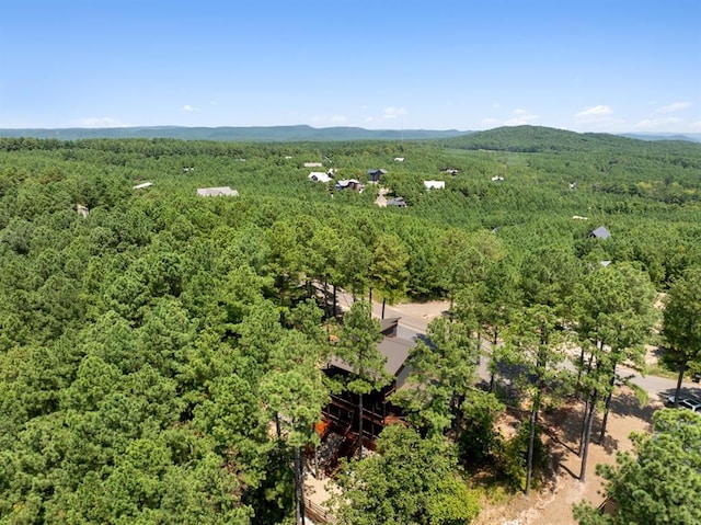 aerial view featuring a mountain view