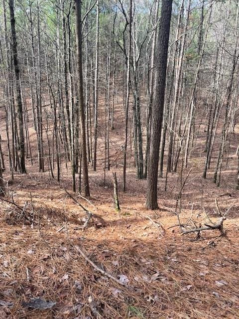 778 Timber Creek Trl, South Xi, Broken Bow, OK 74728 - photo 3